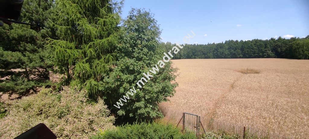 siedlisko, 3 pokoje Budy Wolskie. Zdjęcie 12