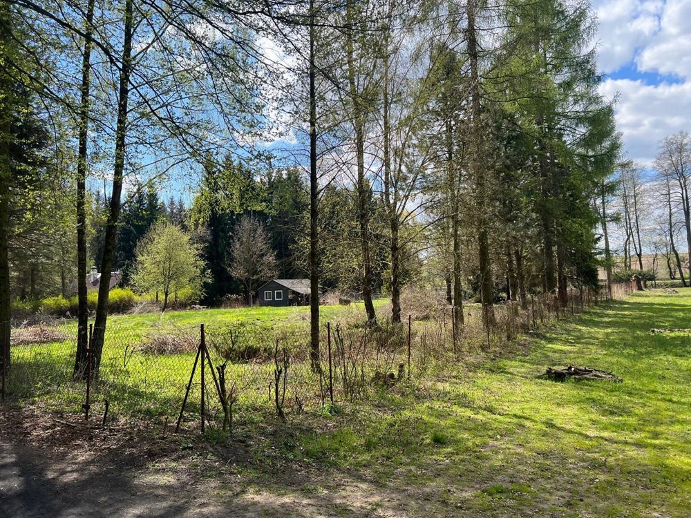 Działka siedliskowa Wojciechów. Zdjęcie 5