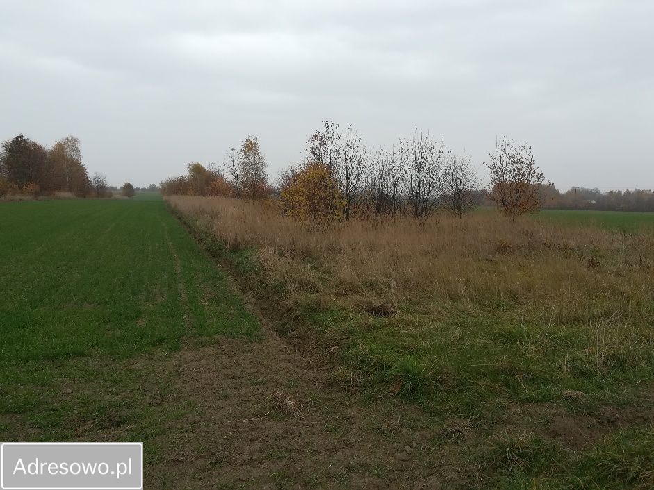 Działka rolna Radomsko, ul. Wieniawskiego. Zdjęcie 3