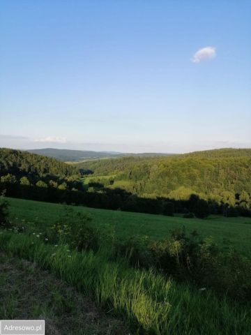 Działka budowlana Czaszyn Brzozowiec. Zdjęcie 1