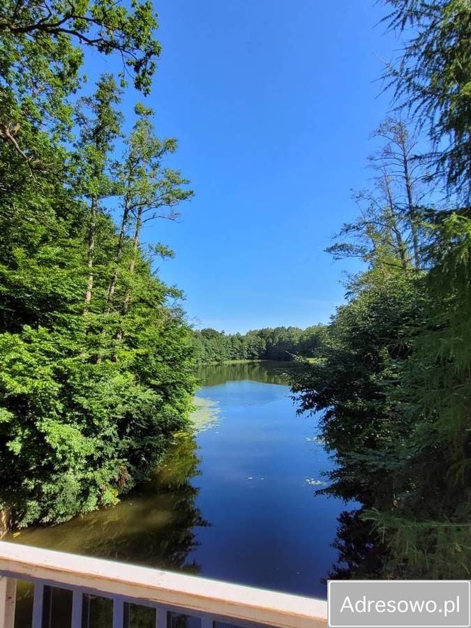 Działka inna Liksajny. Zdjęcie 3