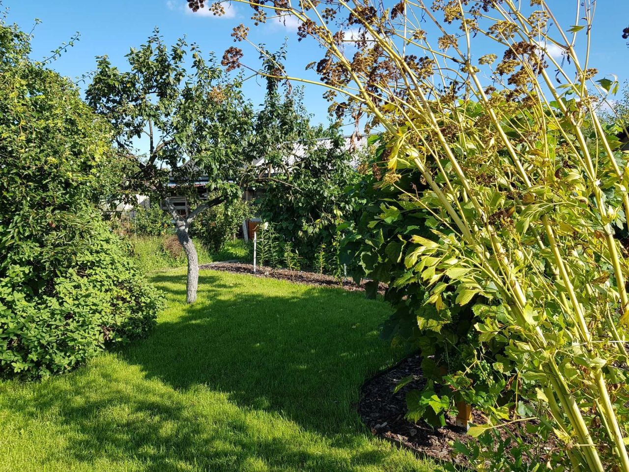 Działka rod Poniatowa. Zdjęcie 6