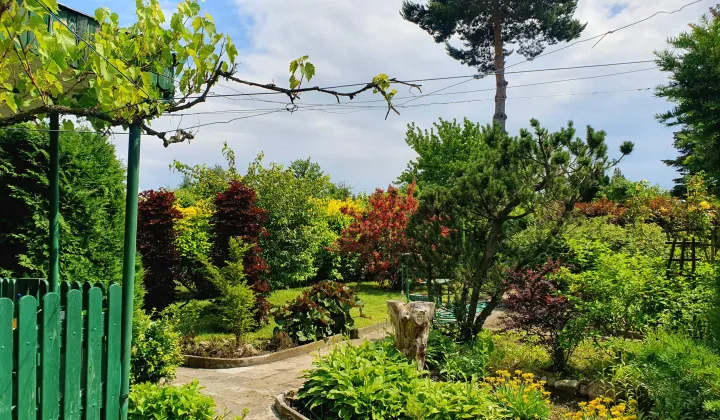 Działka rod Konin Wilków, ul. Świętojańska