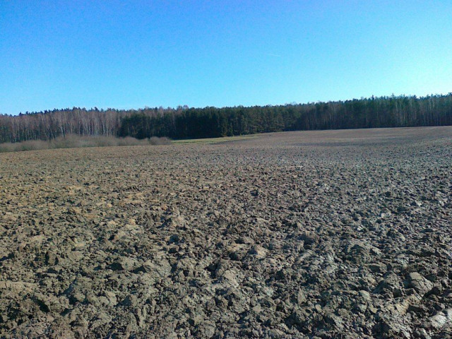 Działka rolna Adamowo. Zdjęcie 1