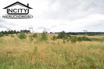 Działka rolna Zła Wieś. Zdjęcie 4