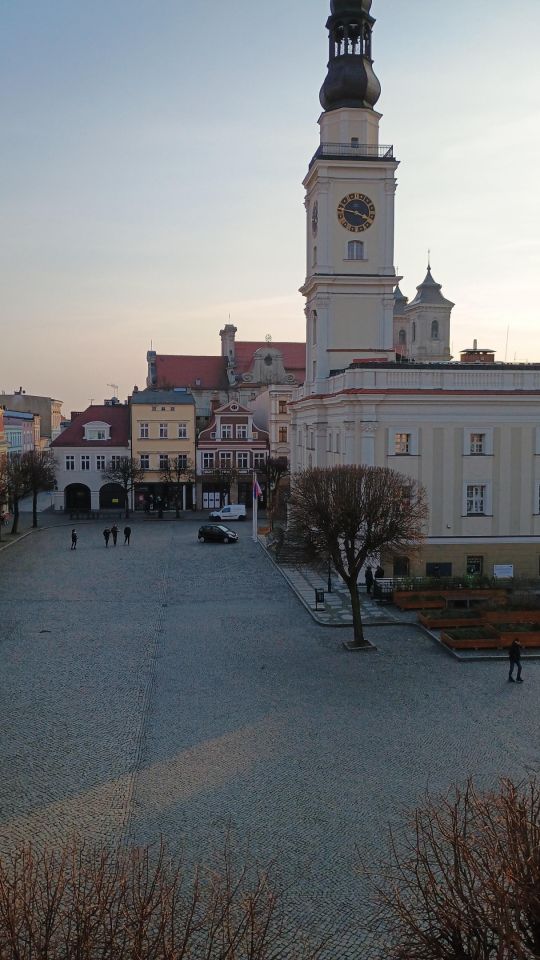 kamienica, 8 pokoi Leszno Centrum, rynek Rynek. Zdjęcie 11