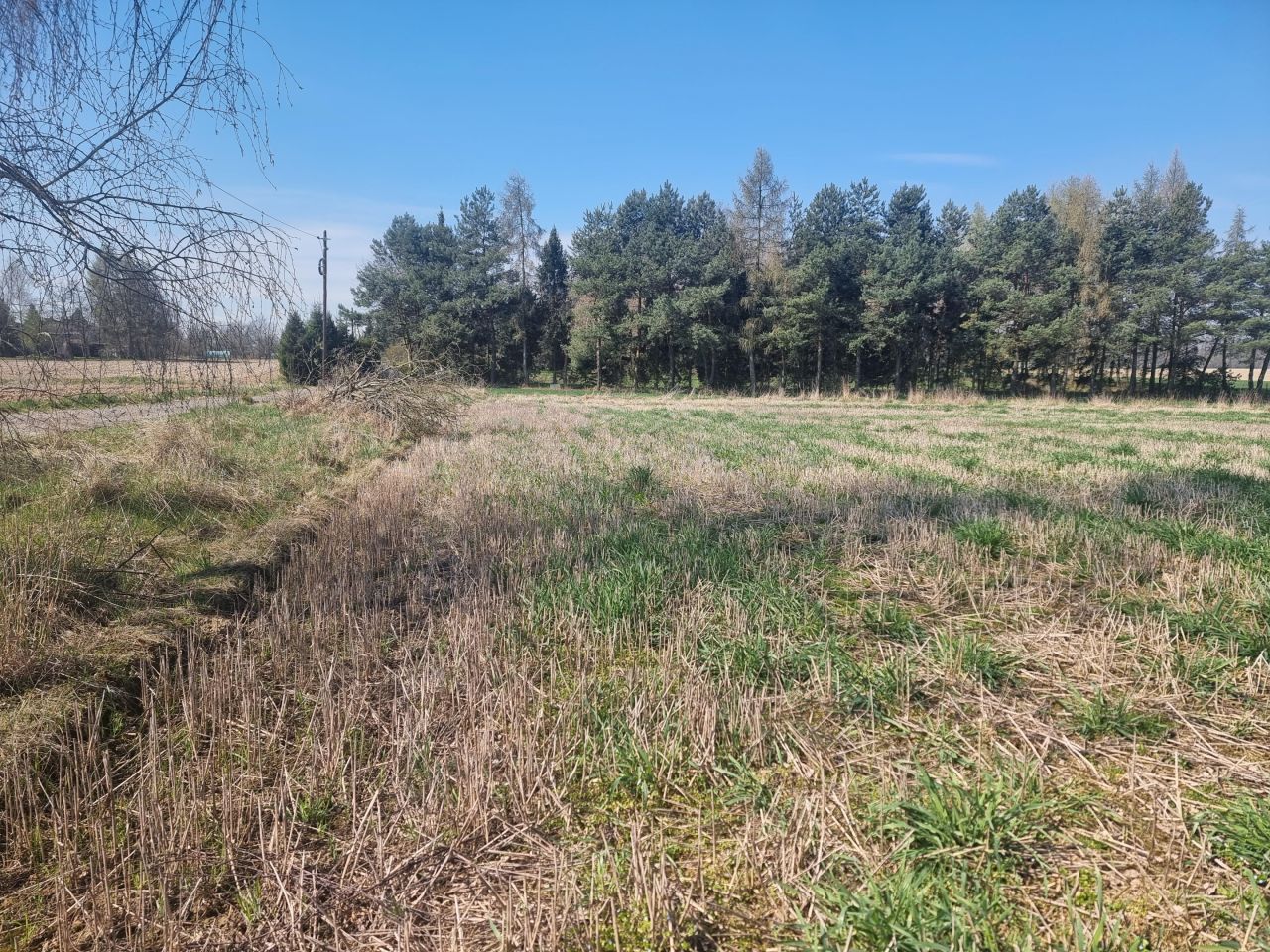 Działka rolno-budowlana Jarząbkowice. Zdjęcie 5