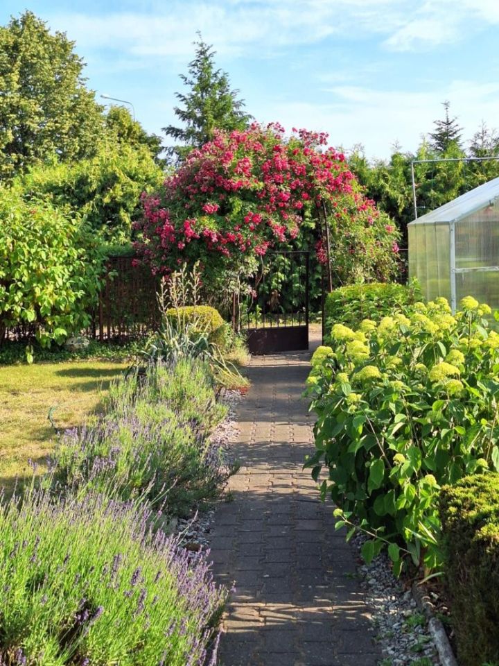 Działka rod Szamotuły, ul. Feliksa Nowowiejskiego. Zdjęcie 3