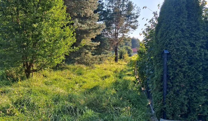 Działka rekreacyjna Kręsk, ul. Zofii