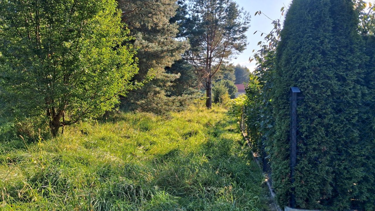 Działka rekreacyjna Kręsk, ul. Zofii