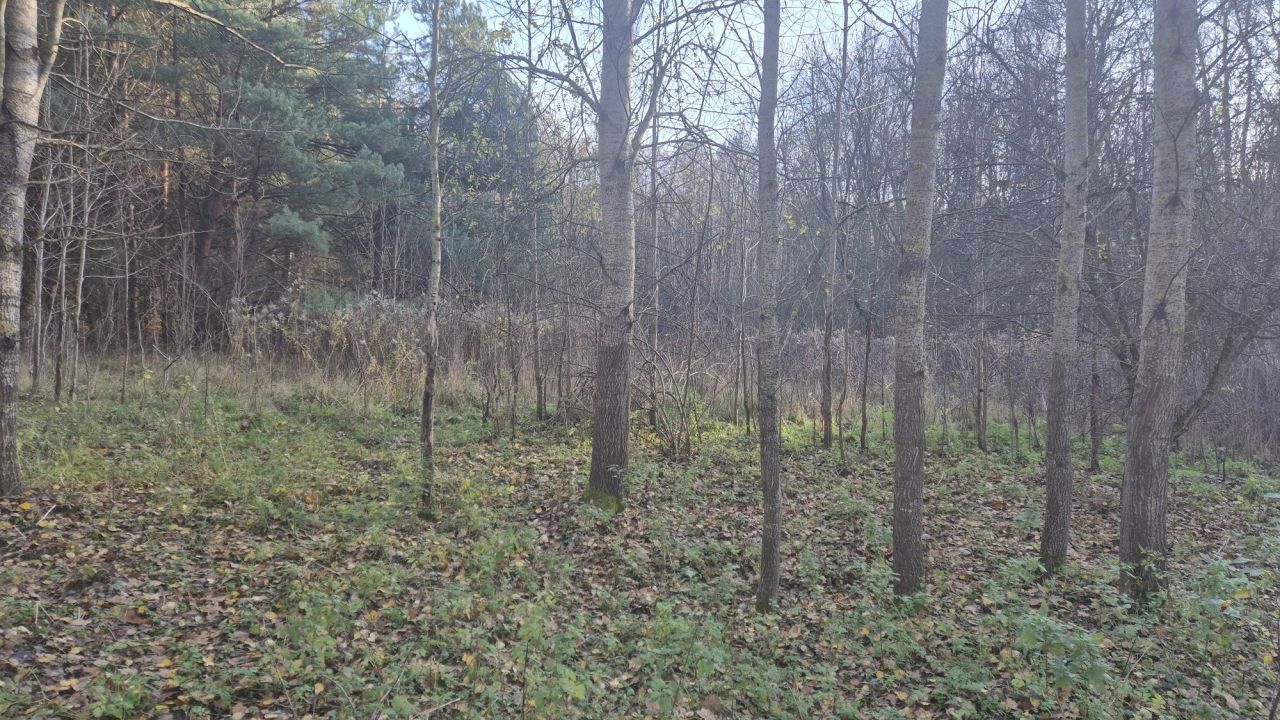 Działka rolno-budowlana Dubielno. Zdjęcie 6