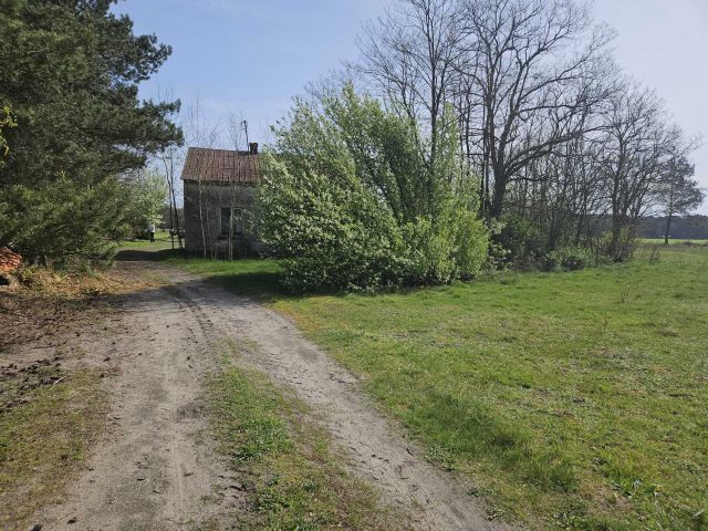 Działka budowlana Piskory. Zdjęcie 1