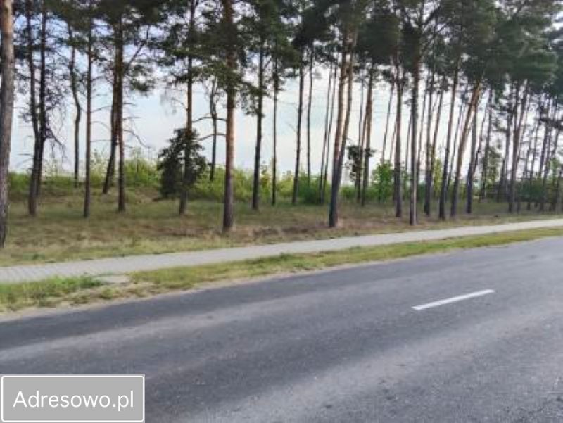 Działka budowlana Nowa Wieś, ul. Przemęcka. Zdjęcie 4