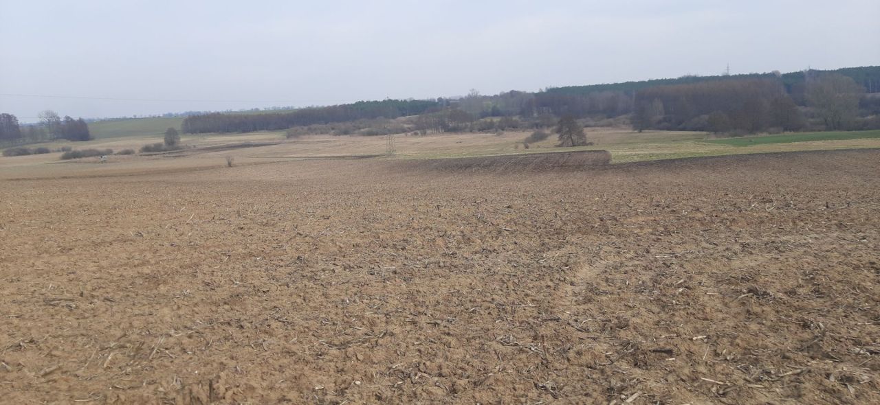 Działka rolna Kątno. Zdjęcie 8