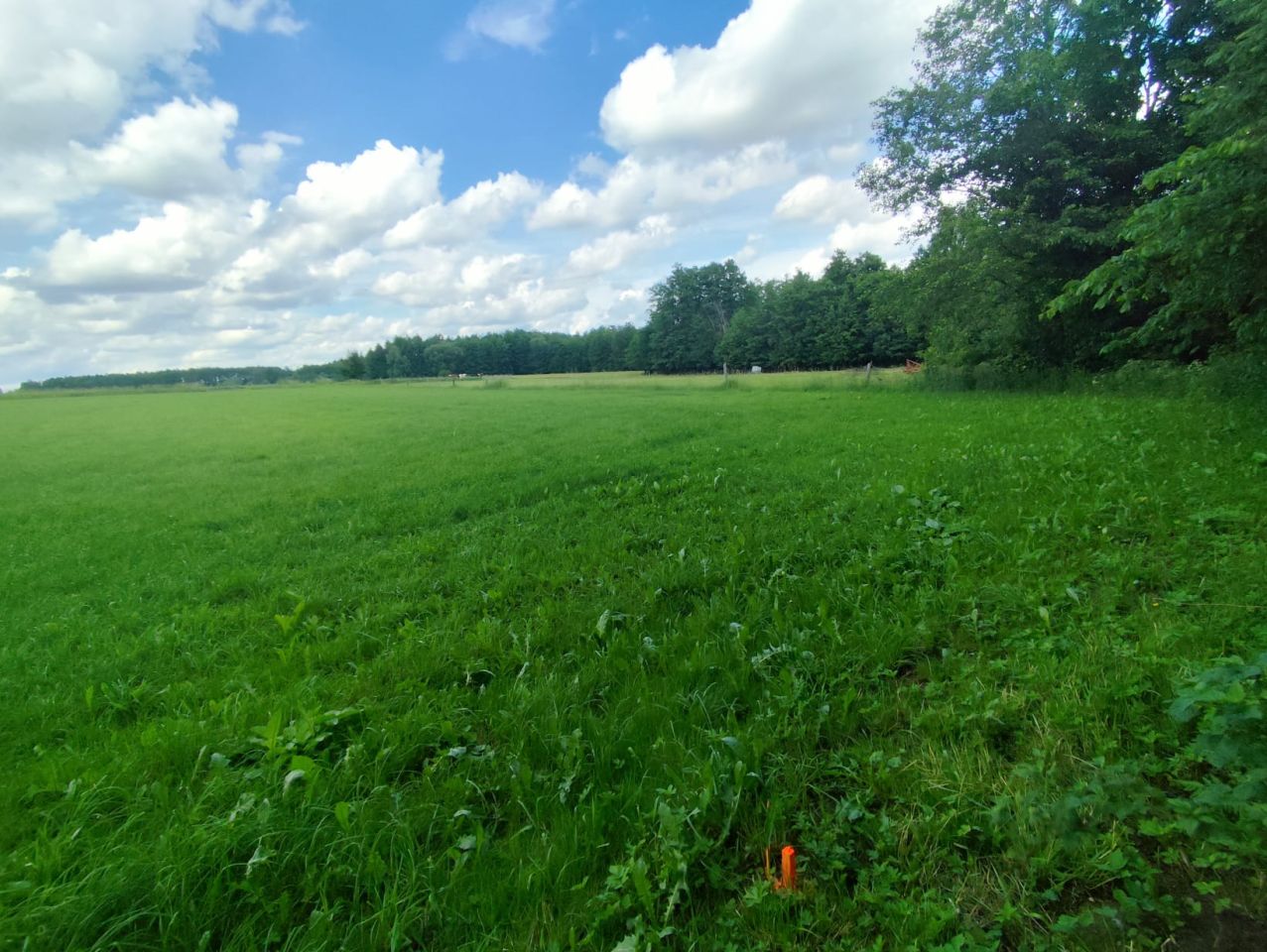 Działka rolno-budowlana Borawskie, Borawskie. Zdjęcie 14