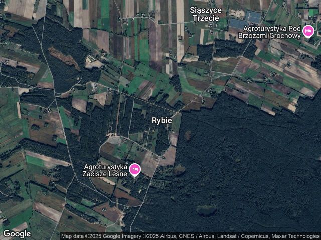 Działka Rybie. Zdjęcie 1