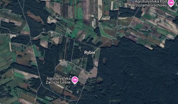Działka Rybie