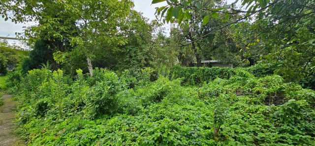 Działka rekreacyjna Gdynia Pogórze, ul. Pucka. Zdjęcie 1