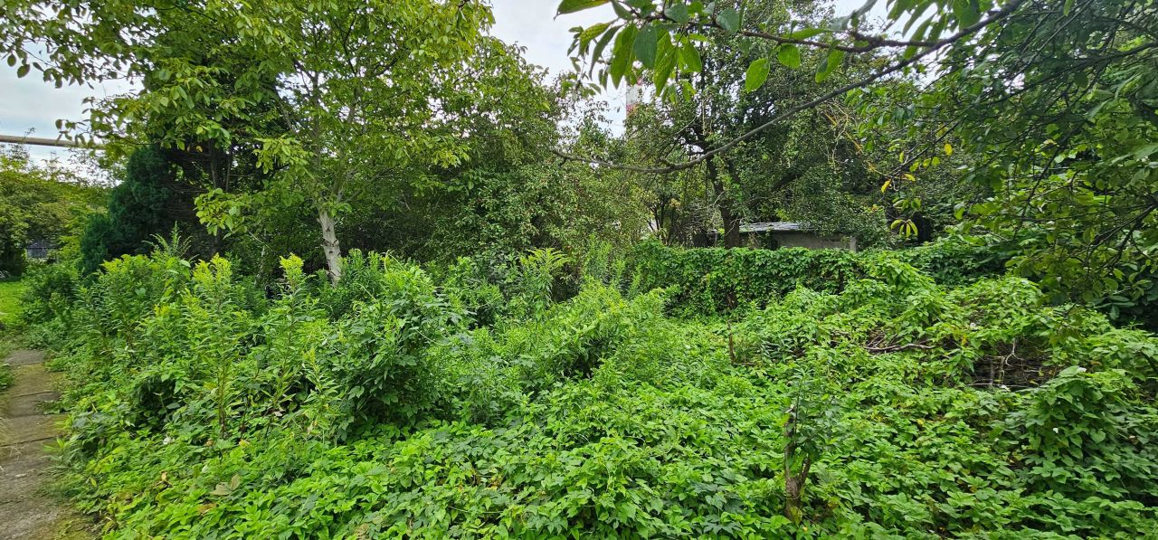 Działka rekreacyjna Gdynia Pogórze, ul. Pucka