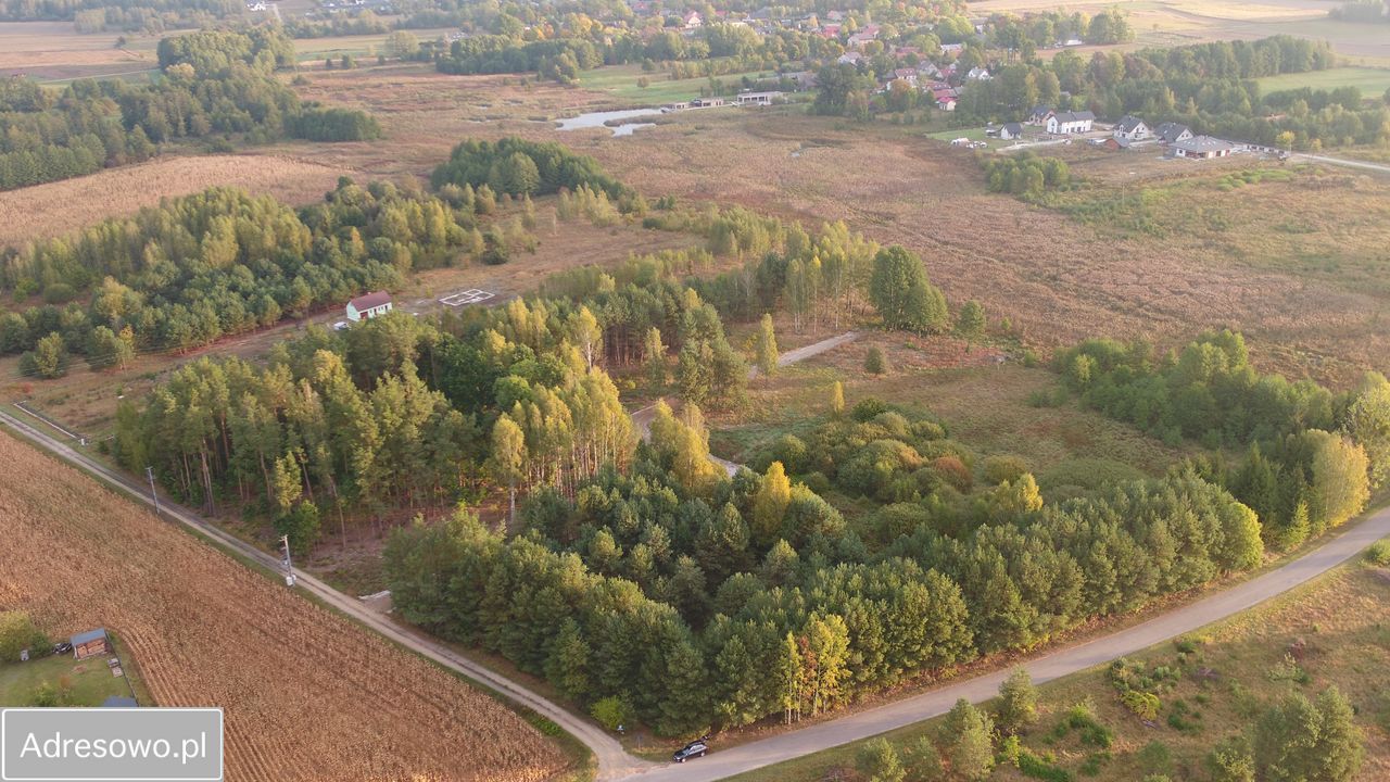 Działka budowlana Skrybicze. Zdjęcie 3