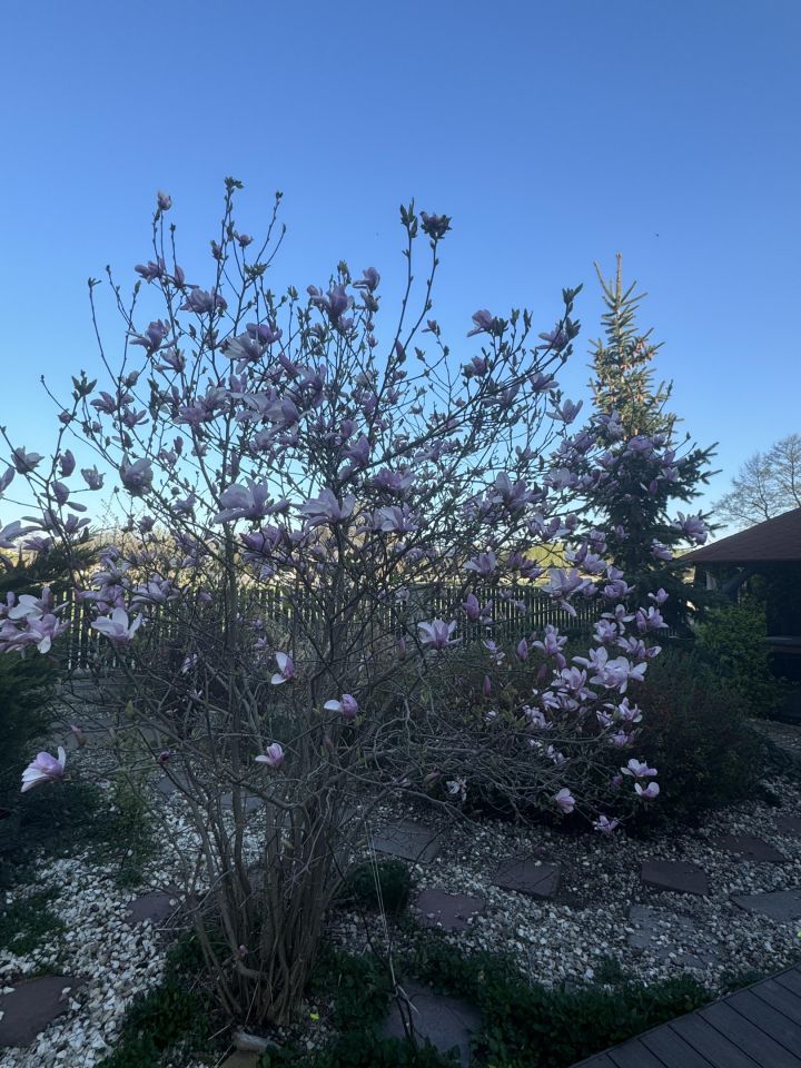 dom wolnostojący, 4 pokoje Huta Żabiowolska, Główna. Zdjęcie 33