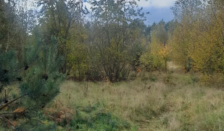 Działka budowlana Nekielka