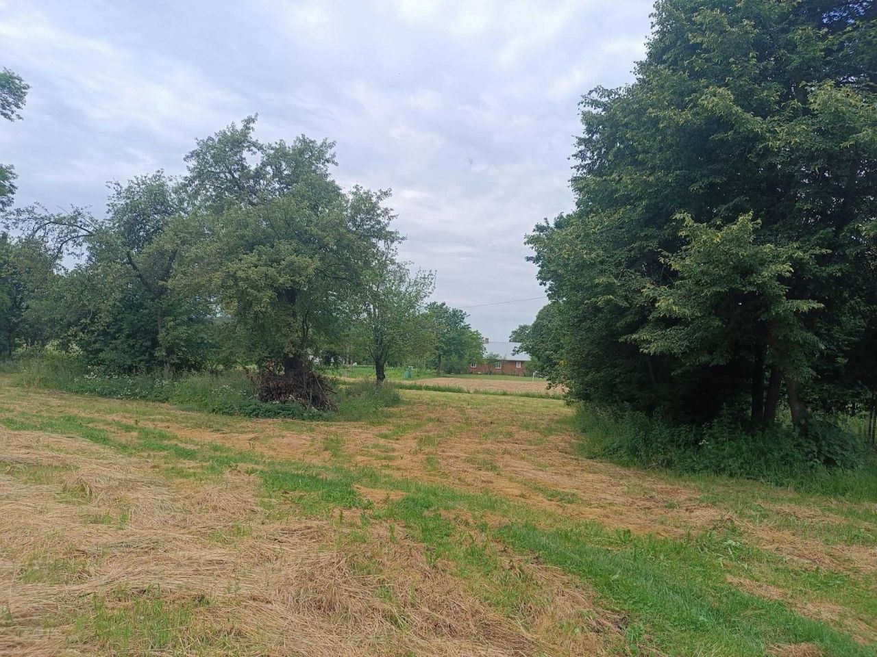 Działka rolno-budowlana Niebieszczany. Zdjęcie 5