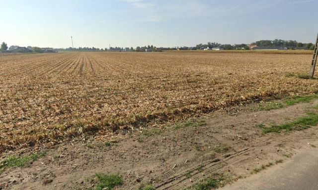 Działka budowlana Żelazków. Zdjęcie 1