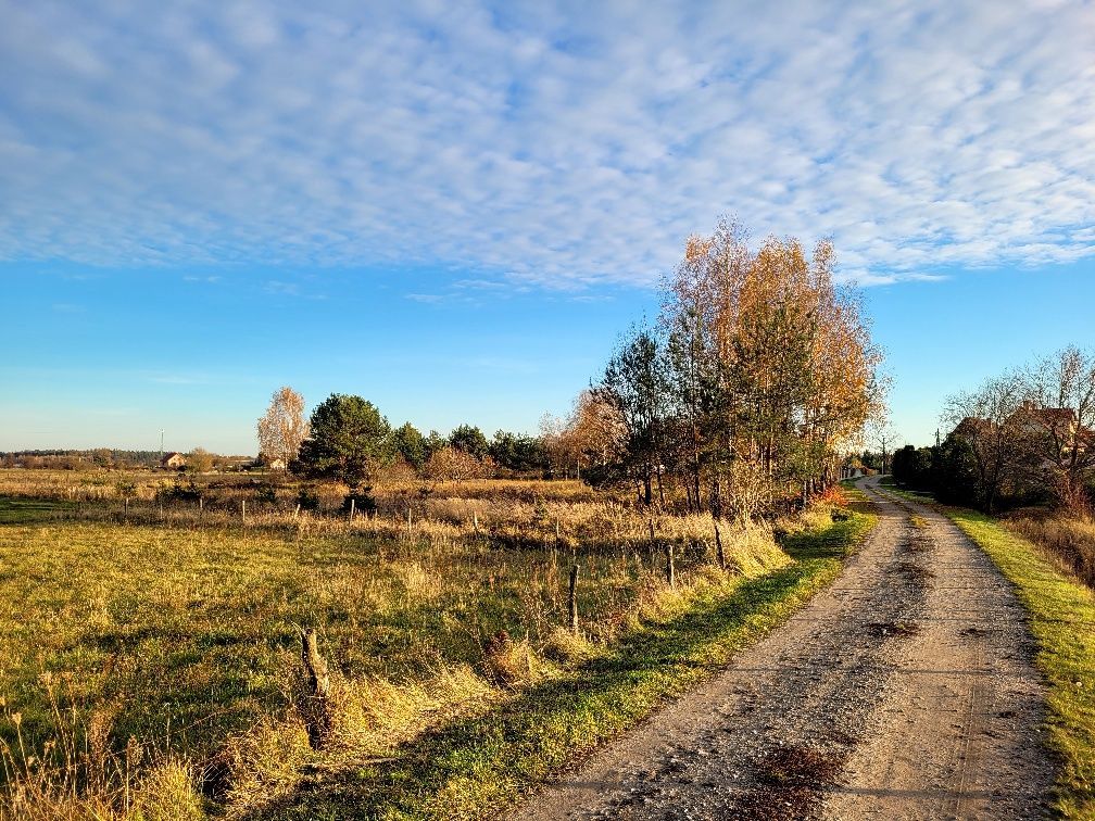 Działka budowlana Zalesie, ul. Krzywa. Zdjęcie 4