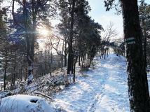 Działka rolno-budowlana Mielnik, ul. Stary Trakt. Zdjęcie 3