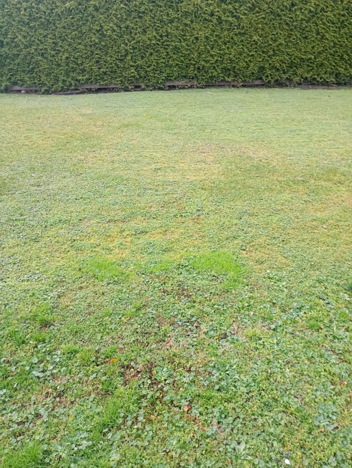 Działka budowlana Płośnica, Dworcowa. Zdjęcie 2