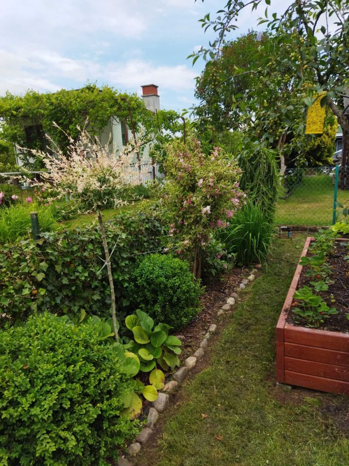 dom letniskowy Gdańsk Kokoszki, ul. Nowatorów. Zdjęcie 3