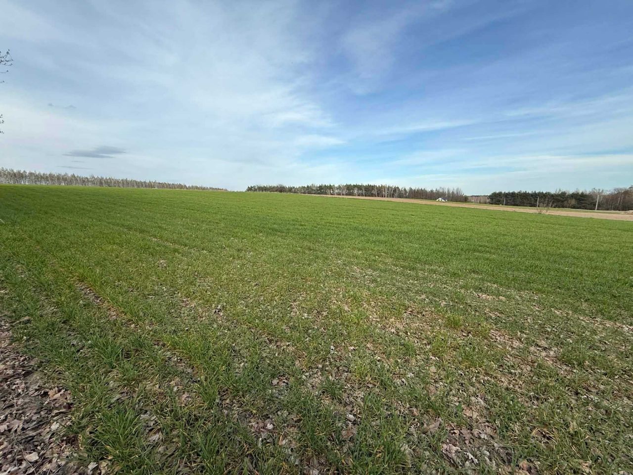 Działka budowlana Pomocnia. Zdjęcie 2