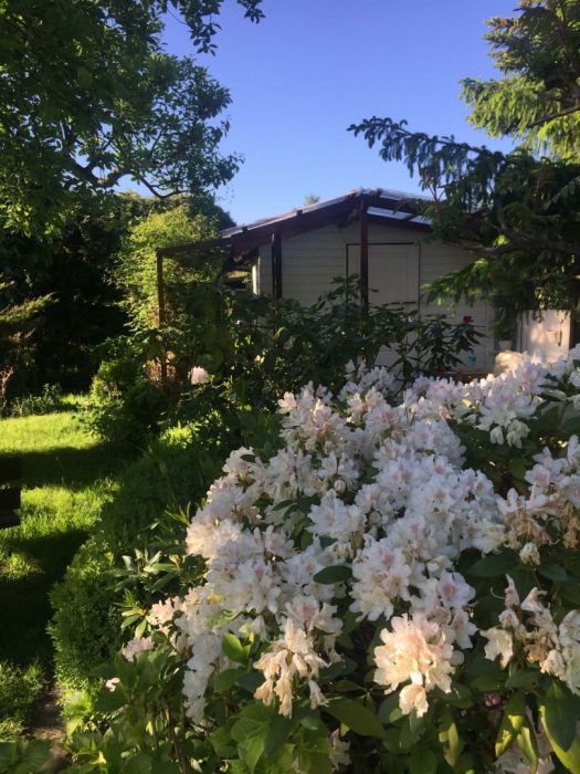 Działka rod Pruszcz Gdański, ul. Nad Radunią. Zdjęcie 5