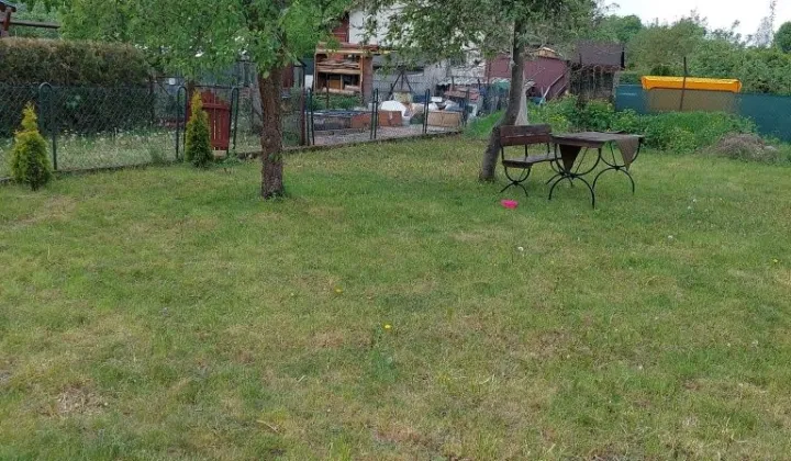 Działka rod Toruń, ul. Morelowa