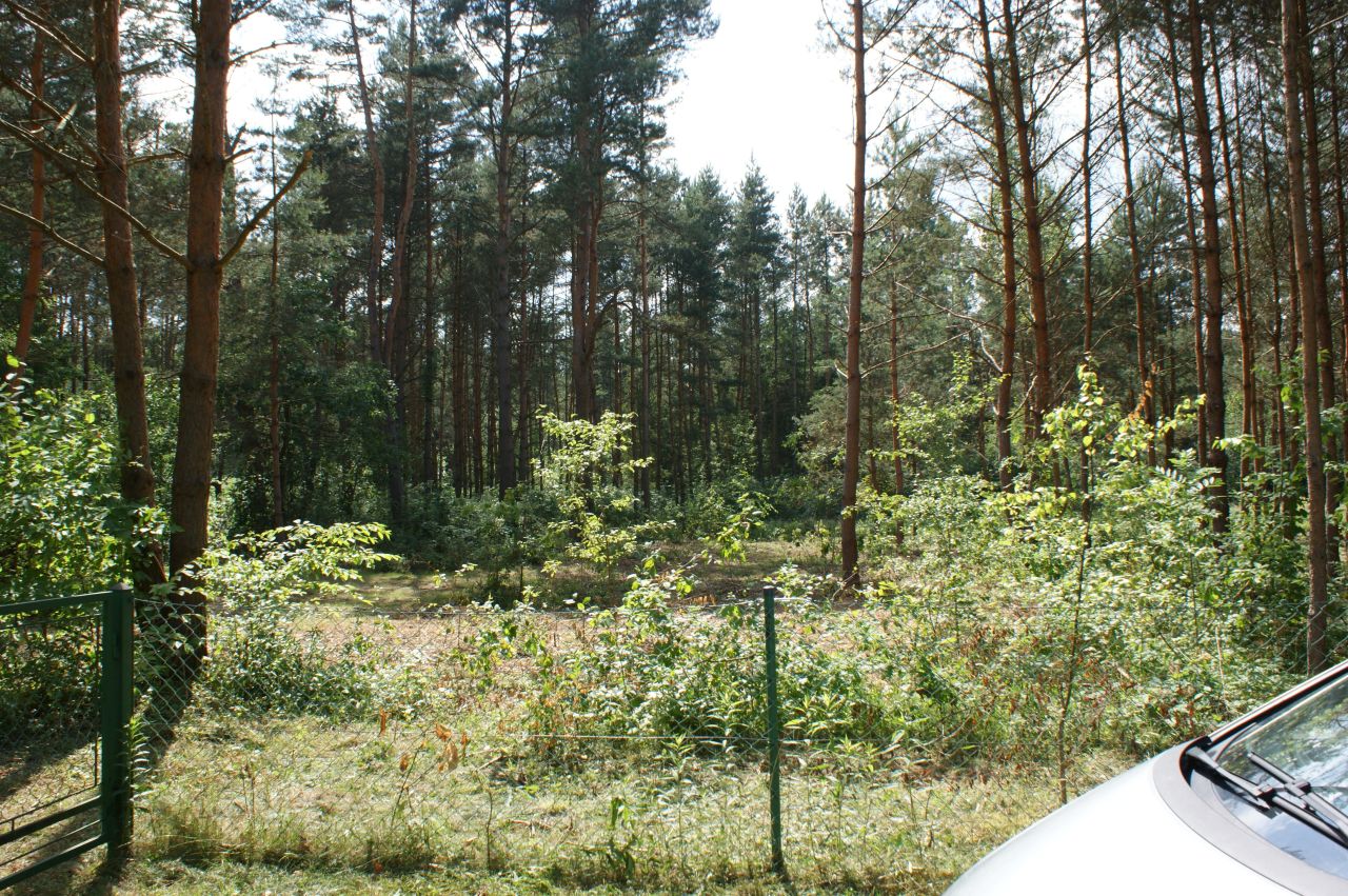 Działka rekreacyjna Czerwona Wola Myszkówka. Zdjęcie 36