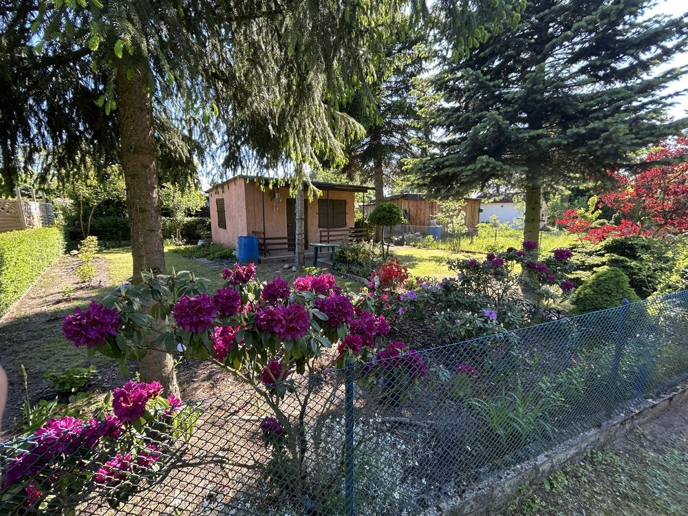 Działka rod Łódź Bałuty, ul. Sianokosy. Zdjęcie 6