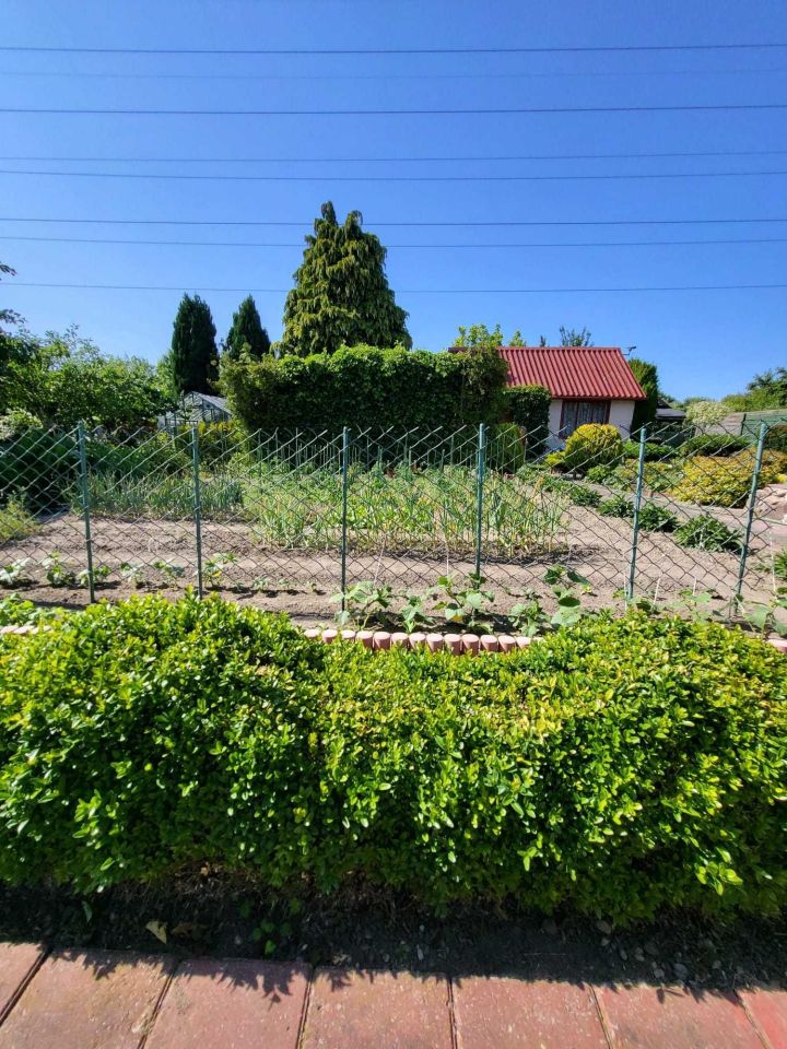 Działka rod Szczecin Pomorzany, ul. Białowieska. Zdjęcie 2