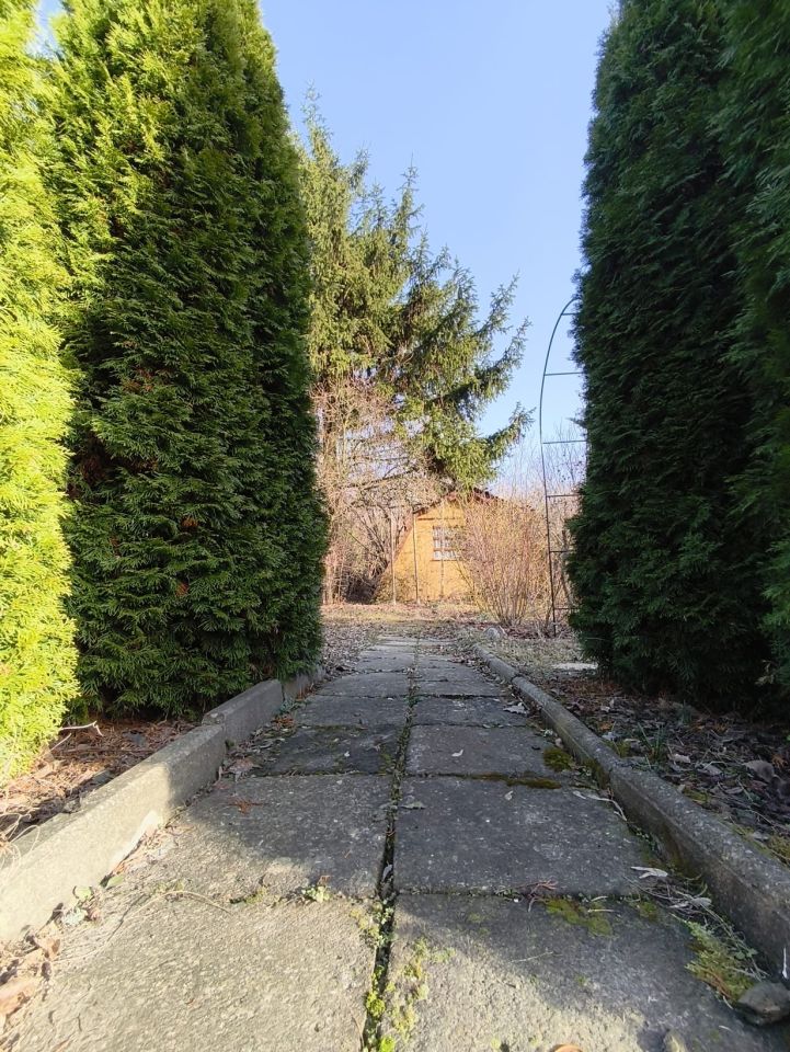 Działka rod Dąbrowica. Zdjęcie 9