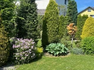 dom wolnostojący, 4 pokoje Bielsko-Biała Lipnik, Władysława Kiernika. Zdjęcie 13