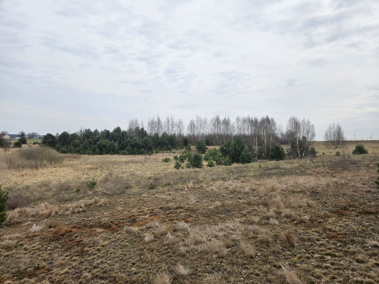 Działka rolna Nowy Dwór. Zdjęcie 8