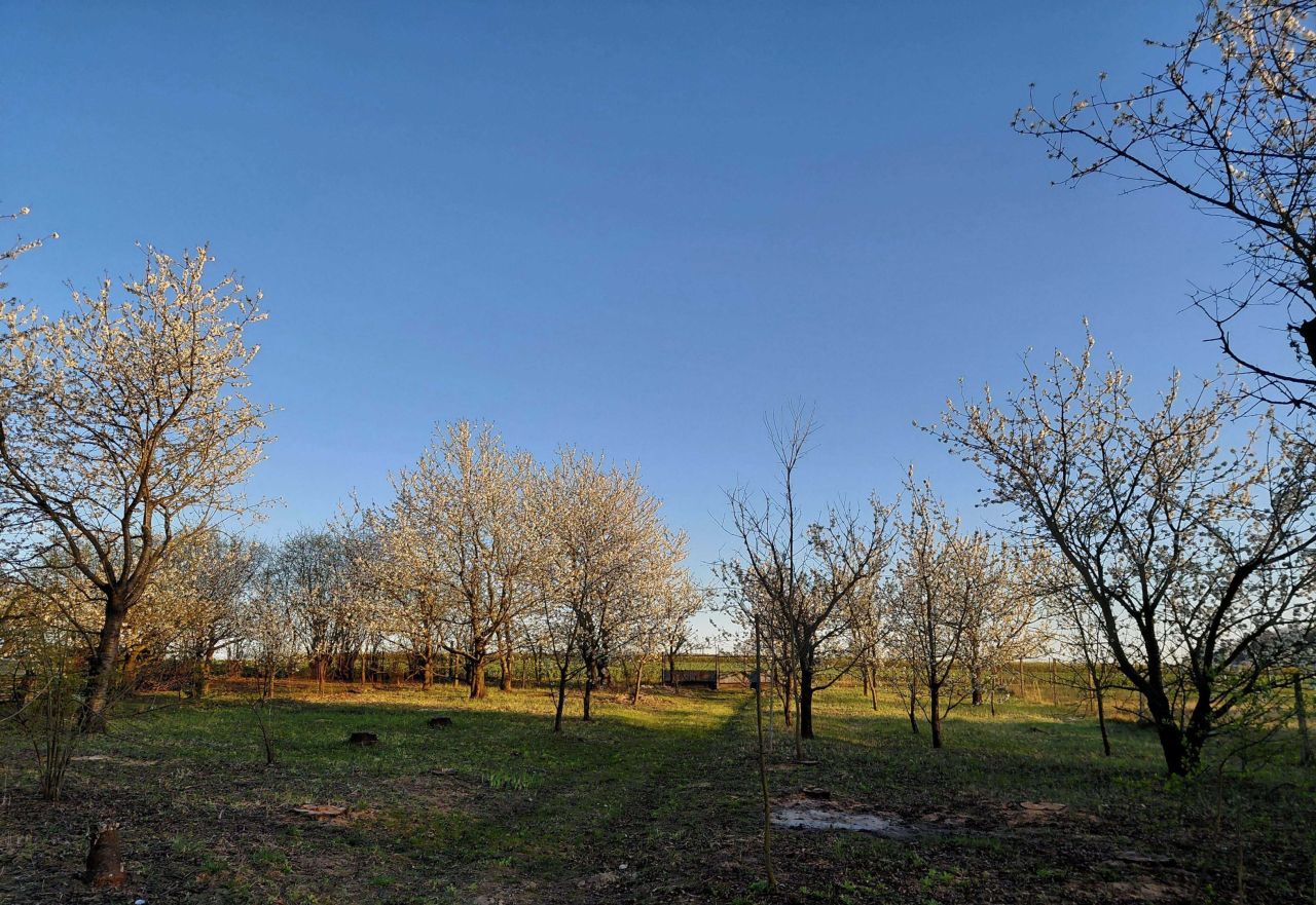 Działka budowlana Kraczewice Rządowe. Zdjęcie 6