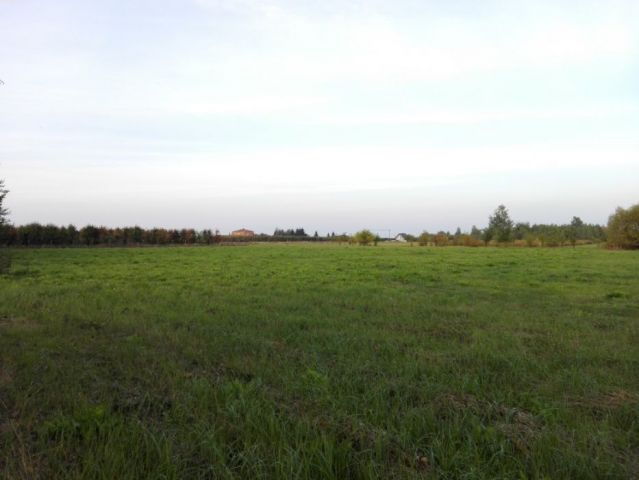 Działka siedliskowa Sierzchów. Zdjęcie 1