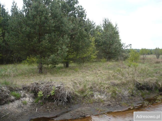 Działka rekreacyjna Wincentów. Zdjęcie 4