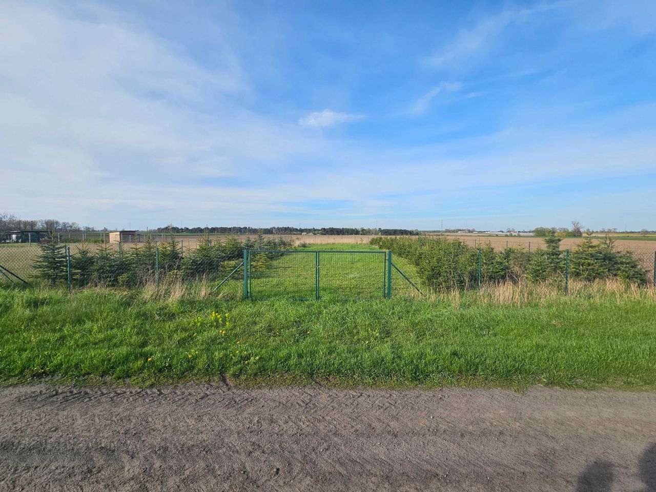 Działka budowlana Brzeziny. Zdjęcie 5