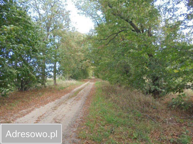 Działka inwestycyjna Kopaszyn. Zdjęcie 8