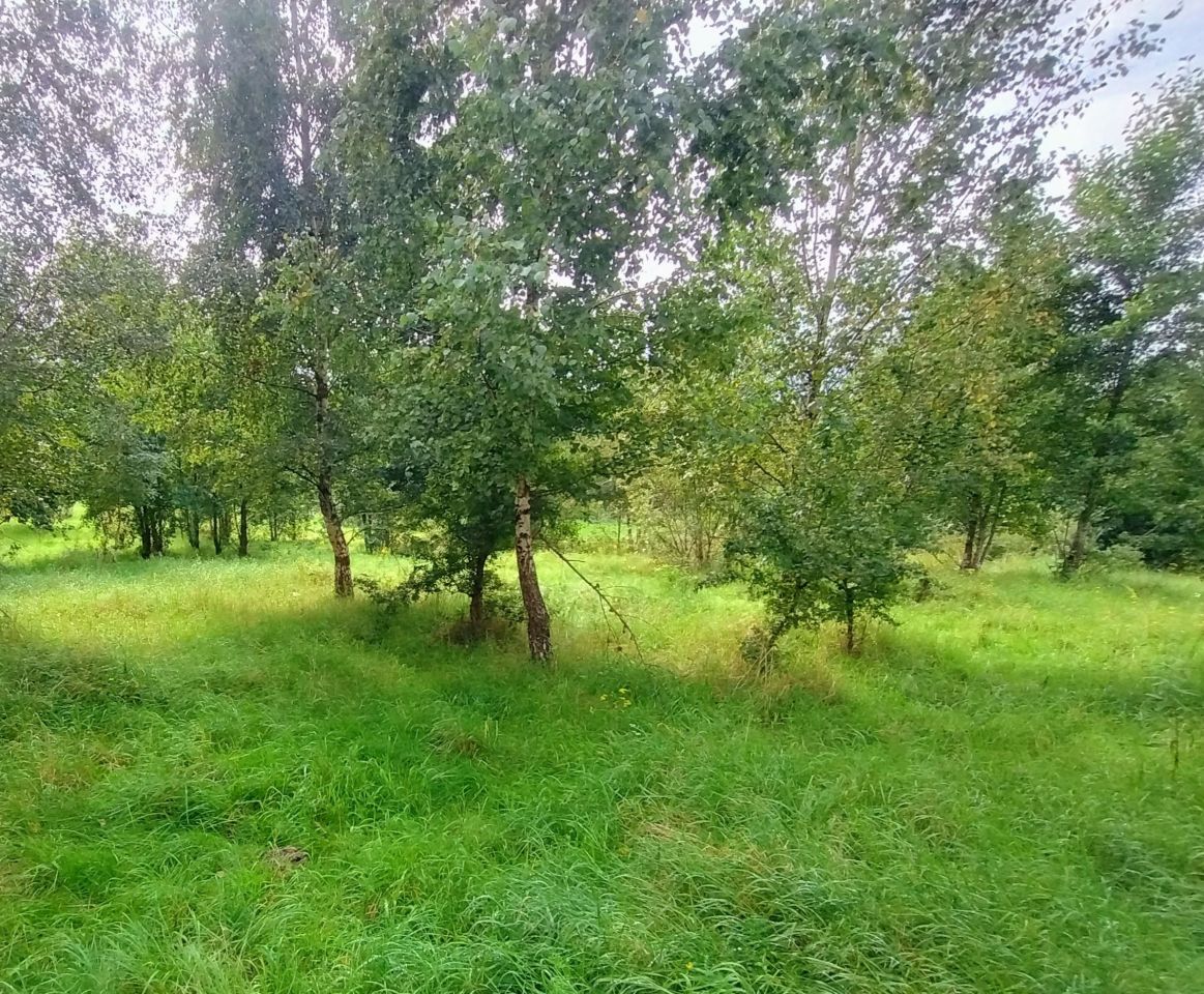 Działka rolna Stare Bolity. Zdjęcie 6