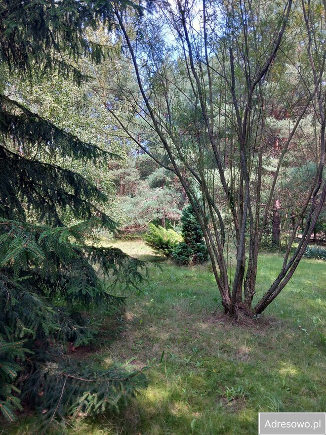 Działka budowlana Bardzynin. Zdjęcie 7