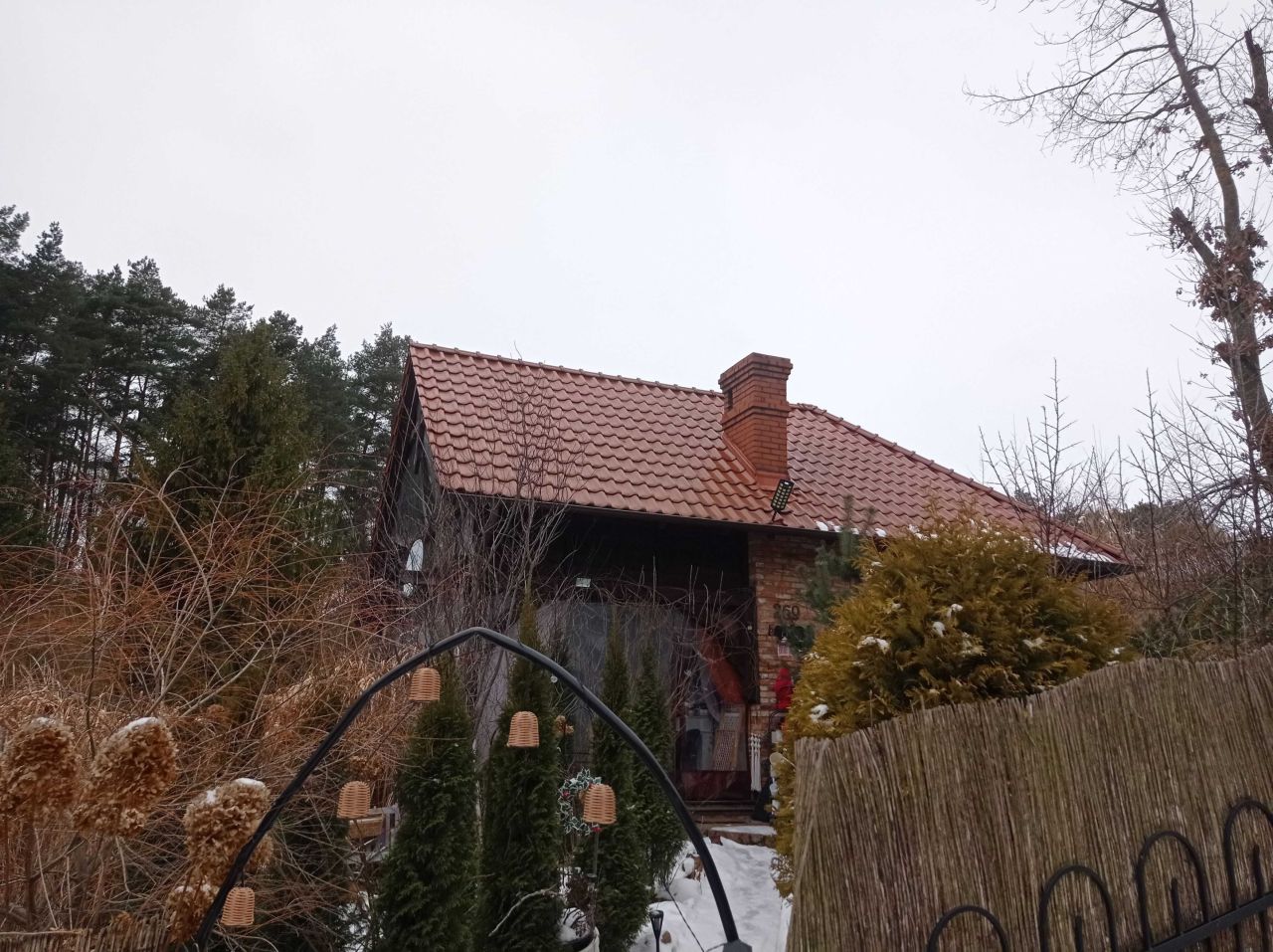 Działka rod Debrzno. Zdjęcie 3