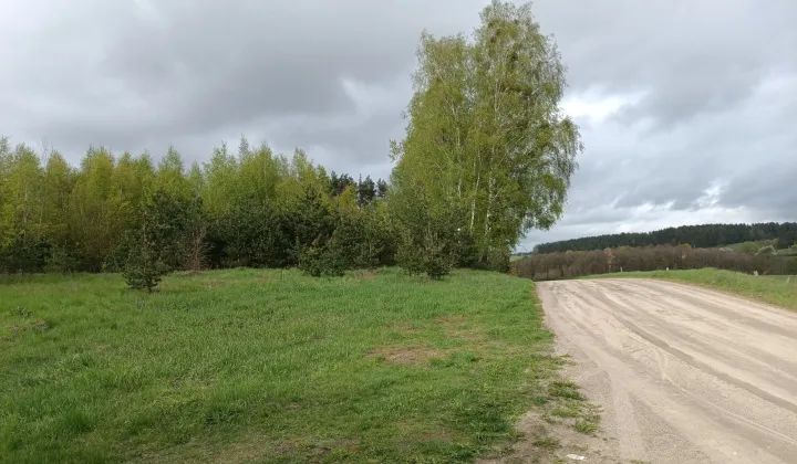 Działka leśna Wierzbowo
